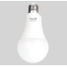 Đèn Bulb 15W